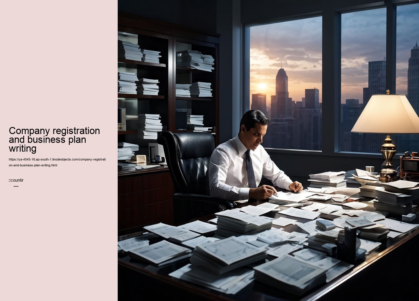 Company registration and business plan writing